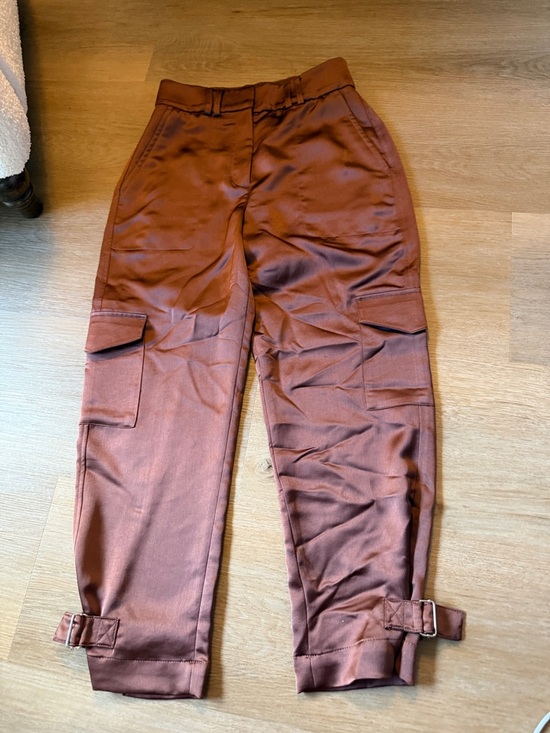 Express Pants - Express Men's Cargo Pants in Rust Brown
